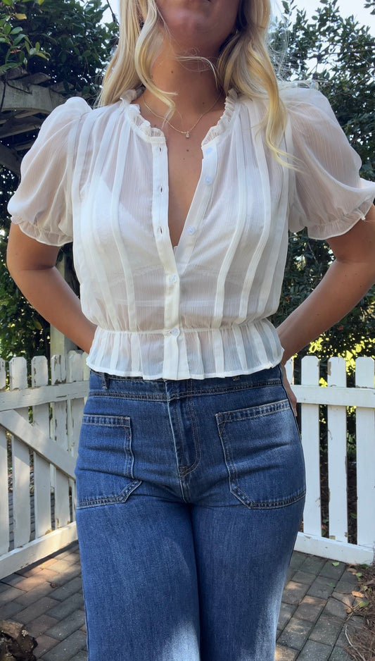 Lexi Sheer Pleated Top